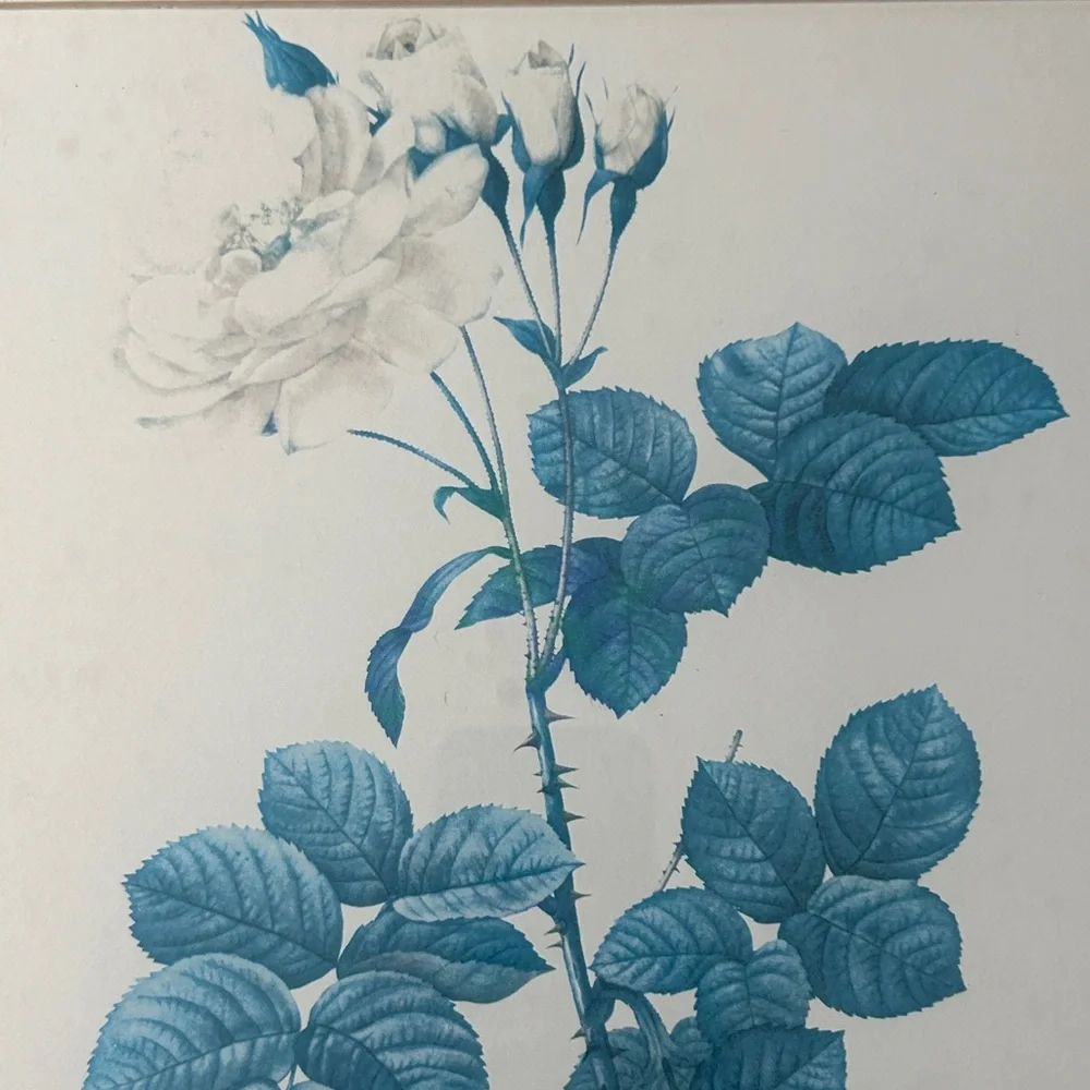 MCM Blue Botanical Rose Prints Gold Frame Grandmillennial Cottage Wall Art Set
